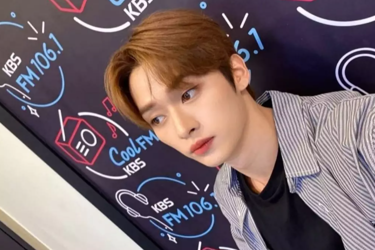 Profil dan Biodata Lee Know Stray Kids Lengkap dengan Agama, MBTI Serta Media Sosial