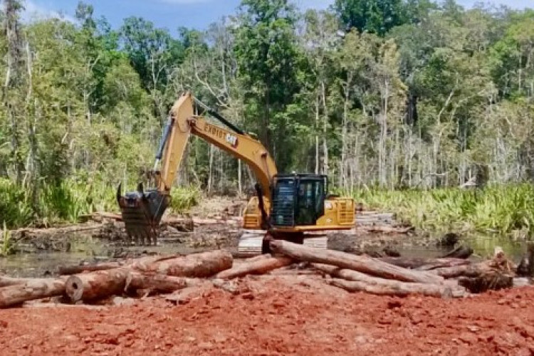 PT Murni Nusantara Mandiri Milik Siapa? Polemik Sengketa Lahan dalam Proyek Swasembada Gula di Merauke