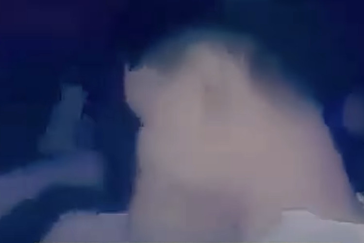 Link Video Pesta Pria Sesama Jenis Karawang Viral di Media Sosial, Langsung Menuai Jutaan Komentar Warganet