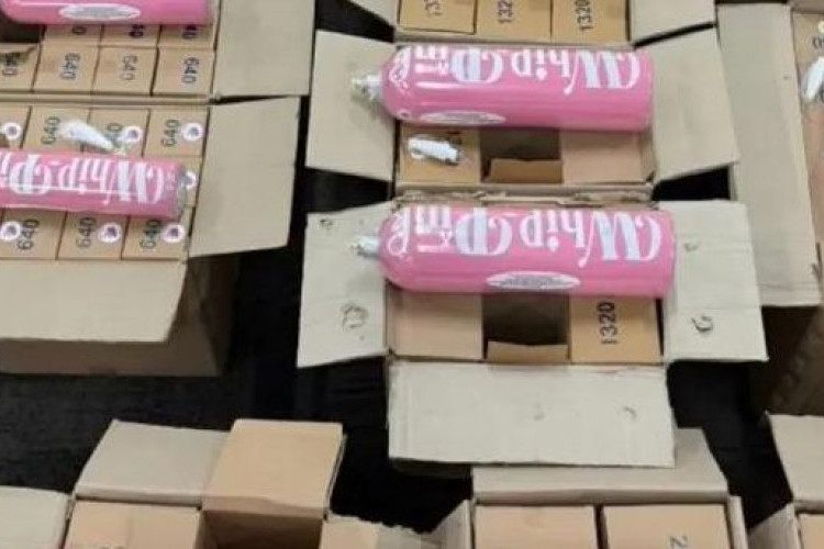 Siapa Sosok Influencer ZNM dan YouTuber RV? Ini Profil Dua Figur Publik yang Dijemput Paksa Bareskrim Terkait Kasus Whip Pink Ilegal