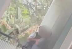Video Viral Pasangan Sesama Jenis di Kampus PNJ Orang Tua Pelaku Sampai Sujud Minta Maaf Agar Tidak DO