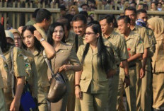 Anggaran Masuk! Gaji ke-13 PNS dan PPPK Cair Paling Lambat Juni 2026 Ini, Begini Rinciannya Detailnya