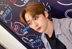 Profil dan Biodata Lee Know Stray Kids Lengkap dengan Agama, MBTI Serta Media Sosial