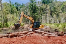 PT Murni Nusantara Mandiri Milik Siapa? Polemik Sengketa Lahan dalam Proyek Swasembada Gula di Merauke