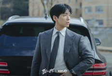 Sinopsis dan Deretan Pemain The Husband (2026), Drama Korea Thriller Dibintangi Oleh Namkoong Min dan Kim Dae Myung
