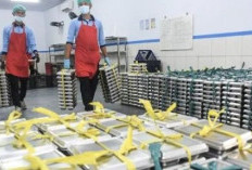 DPR Setujui 4 Jurus Skema Efisiensi Program MBG, Badan Gizi Diminta Tajamkan Data Penerima