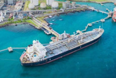 PT Chandra Daya Investasi Tbk Milik Siapa, Saham Ramai Diborong Asing Usai Harga Anjlok Sembilan Persen
