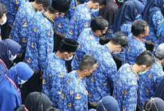 VIRAL! Pemberhentian PPPK dan Honorer Ramai di Media Sosial, Mendagri Tito:  Tidak Ada Perekrutan Honorer Baru