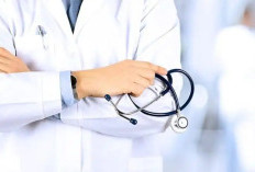 Geger! Komnas HAM Dalami Nasib 1.023 Calon Dokter yang Belum Kantongi Sertifikat Profesi Buntut Aturan Baru Dikti